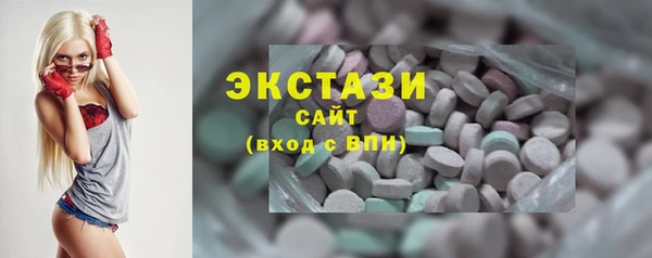 хмурый Алексин