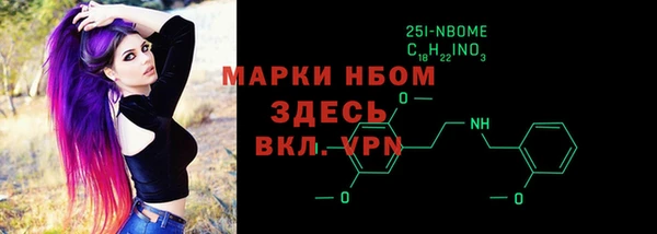 хмурый Алексин