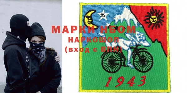 хмурый Алексин
