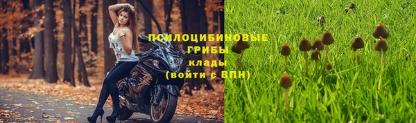 мяу мяу мука Алзамай