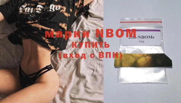 хмурый Алексин
