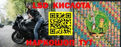 гидра Владимир