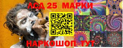 гидра Владимир