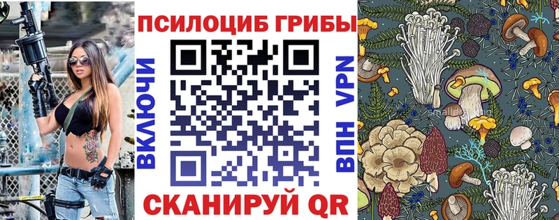 Псилоцибиновые грибы Psilocybine cubensis  omg ссылка  Белорецк 