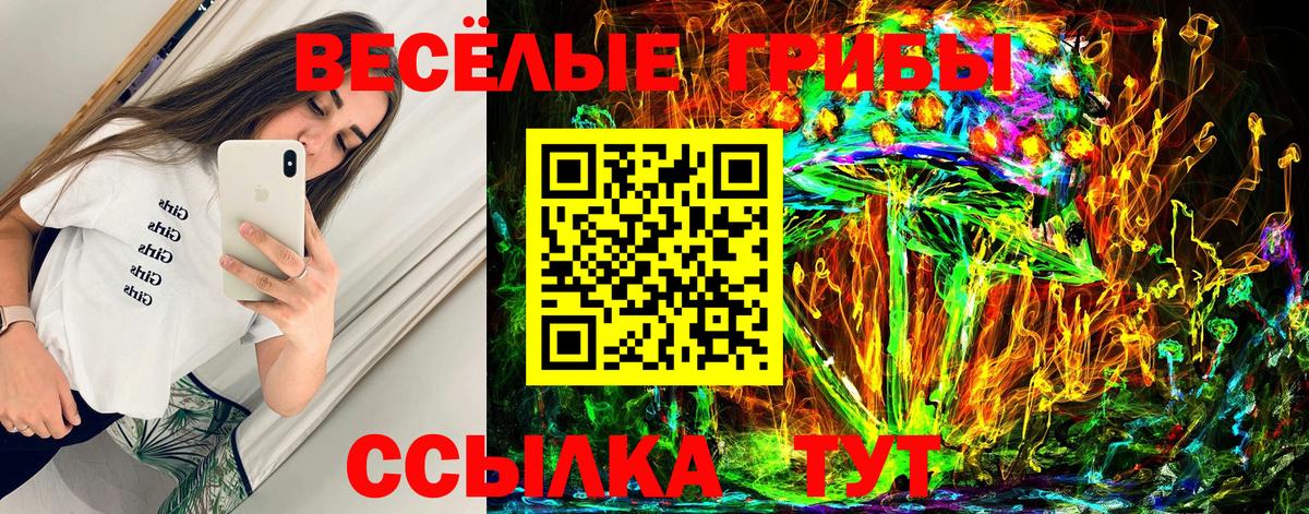 Галлюциногенные грибы GOLDEN TEACHER  Вход с VPN  Белорецк 